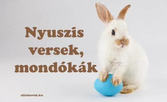nyuszis versek, nyuszis mondókák