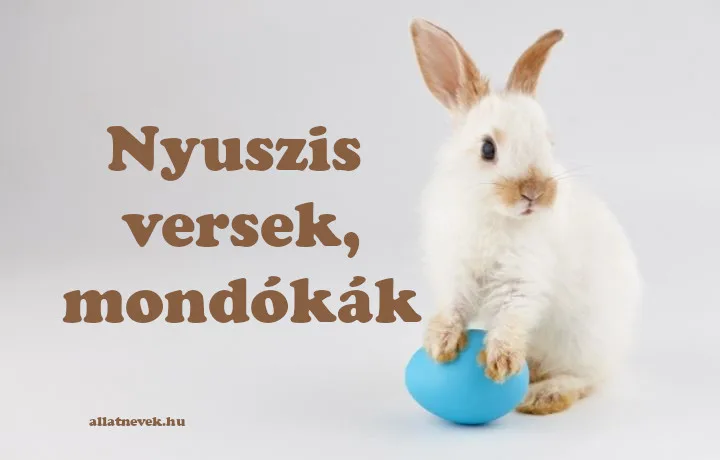 nyuszis versek, nyuszis mondókák