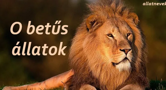 o betűs állatok