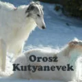 orosz kutyanevek
