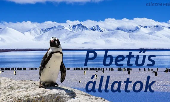 p betűs állatok
