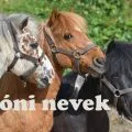 póni nevek