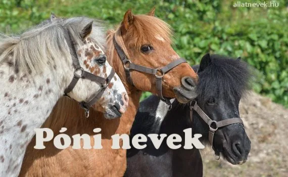 póni nevek