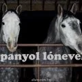 spanyol lónevek