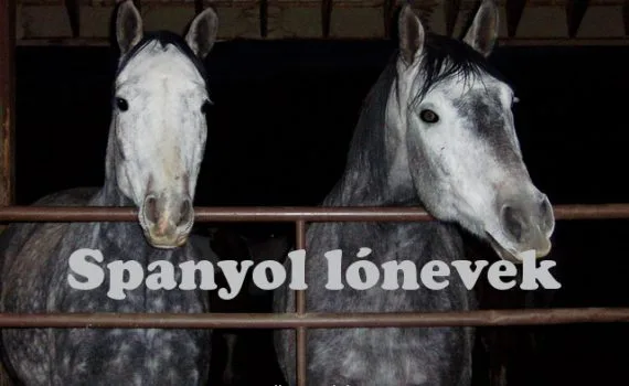 spanyol lónevek