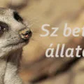 sz betűs állatok
