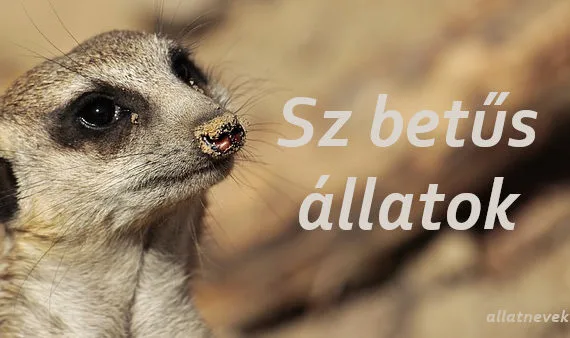 sz betűs állatok