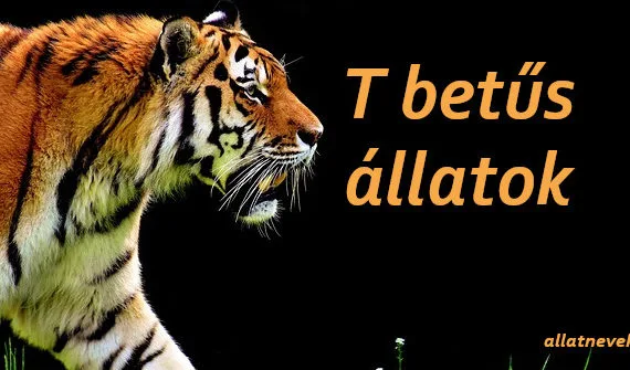 t betűs állatok