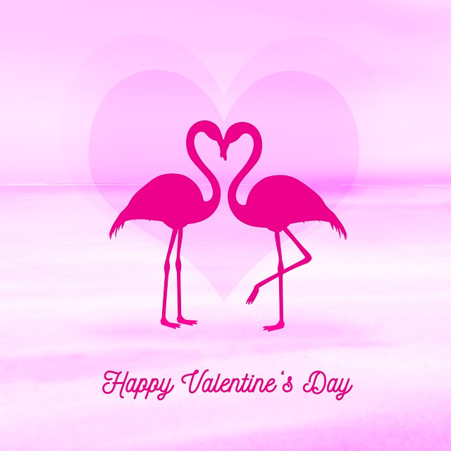 valentin napi állatos kép, flamingó