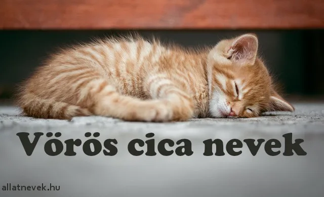 vörös cica nevek, vörös macska nevek